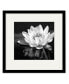 Фото #1 товара Waterlily Flower I 16" x 16" Framed and Matted Art