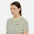 Фото #6 товара DICKIES Altoona Stripe short sleeve T-shirt