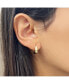 ფოტო #3 პროდუქტის Mini Saddle Huggie Hoop Earrings