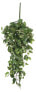 Фото #2 товара Künstliche Hängepflanze Scindapsus