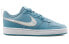 Nike Borough Low 2 FP GS CJ2239-400 Sneakers