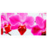 Glasbild T114 Orchide