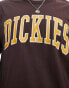 Dickies aitkin long sleeve t-shirt in brown