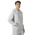 HELLY HANSEN Core Graphic hoodie