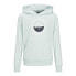 Фото #1 товара JACK & JONES Cobin hoodie