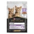 PURINA Pro Plan Junior Turkey 26x85g Cat Food