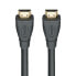 Rutenbeck 21810002 - 2 m - HDMI Type A (Standard) - HDMI Type A (Standard) - Black
