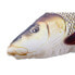 GABY The Barbel Medium Orange / Gold / Brown - фото #3