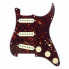 Mojotone 67 Q.Coil Hot Br. Pickguard TT