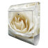 Briefkasten Stahl White Roses