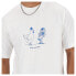ფოტო #4 პროდუქტის NEW BALANCE Relaxed Chicken short sleeve T-shirt