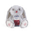 Фото #6 товара Мягкая игрушка для девочек KALOO Gray Leo Rabbit Musical Prestige 31 cm toy