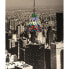 Фото #7 товара Потолочный светильник Viro Buttefly Разноцветный Железо 60 W 25 x 125 x 25 cm