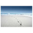 Фото #1 товара Glasbild Spuren im Sand