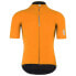 Q36.5 Pinstripe PRO short sleeve jersey