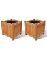 Wooden Raised Bed 11.8" x 11.8" x 11.8" Set of 2