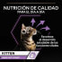 Фото #5 товара PURINA Pro Plan Junior Turkey 26x85g Cat Food