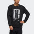 Adidas WJ SWT LOGO FM9345 Sweatshirt