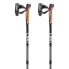 LEKI Spin Poles