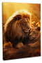 Фото #1 товара Leinwandbild Lion Romance