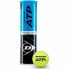 Фото #1 товара Теннисные мячи Dunlop ATP Official Жёлтый Разноцветный