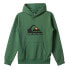 Фото #3 товара QUIKSILVER Big Logo hoodie