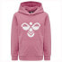 Фото #1 товара HUMMEL Cuatro hoodie