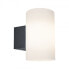 PAULMANN 941.86 - Outdoor wall lighting - Anthracite - Plastic - IP54 - Facade - Wall mounting