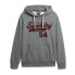 Фото #3 товара SUPERDRY Athletic Script Graphic hoodie