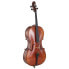 Фото #3 товара Walter Mahr Cello Stradivari Ash Wood 4/4