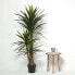 Фото #3 товара Искусственные цветы Homescapes Yucca Palme 150 см