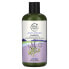 Anti-Frizz Shampoo, Lavender, 16 fl oz (475 ml)