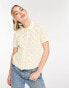 Levi's Seaside knitted top with collar