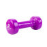 Фото #1 товара BODYTONE V2 2kg PVC Coated Dumbbell 2 Units