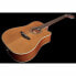 Takamine GD20CE-N