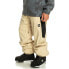 Фото #3 товара QUIKSILVER Snow Down Pants