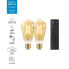 Фото #2 товара WiZ Starter Kit 2 angeschlossene Edison-Lampen Weier variabler E27 50W + Nomadic-Fernbedienungsdimmer