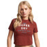 Фото #1 товара SUPERDRY Code Graphic Embroidered Tiny short sleeve T-shirt