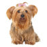 TRIXIE Hair Bows 10 Units - фото #1