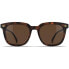 LOUBSOL Journey Sunglasses Brown/CAT3 - фото #3