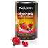 Фото #1 товара OVERSTIMS Hydrixir 600gr Forest Fruit