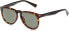 Фото #2 товара Очки Diesel Adult DL0272 Brown Sunglasses
