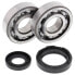 Фото #1 товара All Balls Yamaha WR250 1991-1997 crank shaft bearing&seal kit