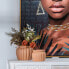 Фото #5 товара Подставка для цветов Shico Planter 17,5 x 17,5 x 14,5 см Керамическая Лососевая