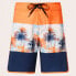 Фото #3 товара OAKLEY APPAREL Palm Florals RC 19” Swimming Shorts
