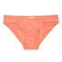 Фото #3 товара REGATTA Aceana Brief Bikini Bottom