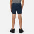 REGATTA Highton Shorts