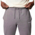 Фото #4 товара COLUMBIA CSC Logo™ II pants