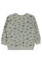 Фото #2 товара Erkek Çocuk Sweatshirt 2-5 Yaş Gri