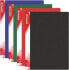 Фото #1 товара Файл с красным цветом Panta Plast TECZKA OFERTOWA A4/10 520MIC A4/10 520MIC